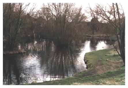 View over pond to other islands