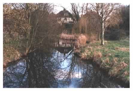 View over pond to lower island