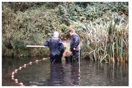 Fish sampling