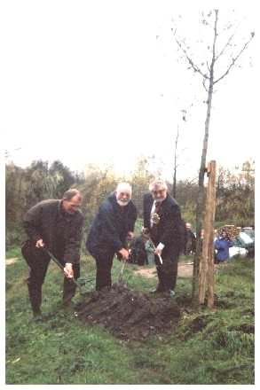 Tree Planting