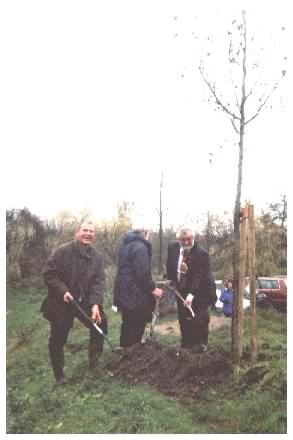 Tree Planting