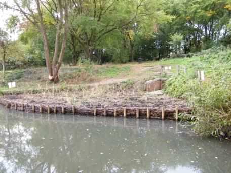 Reed bed