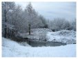Brickfields Country Park in winter